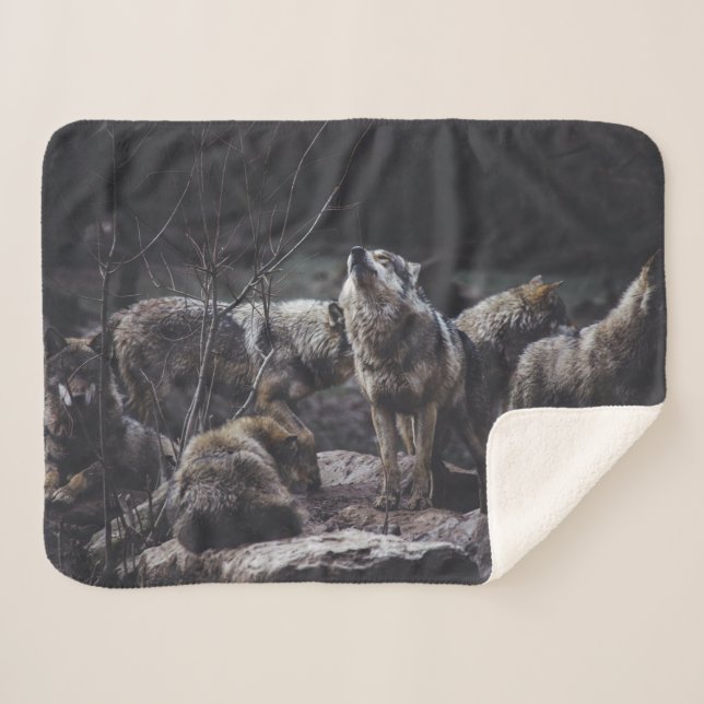 Couverture Sherpa Pack Wolf (Devant (Horizontal))