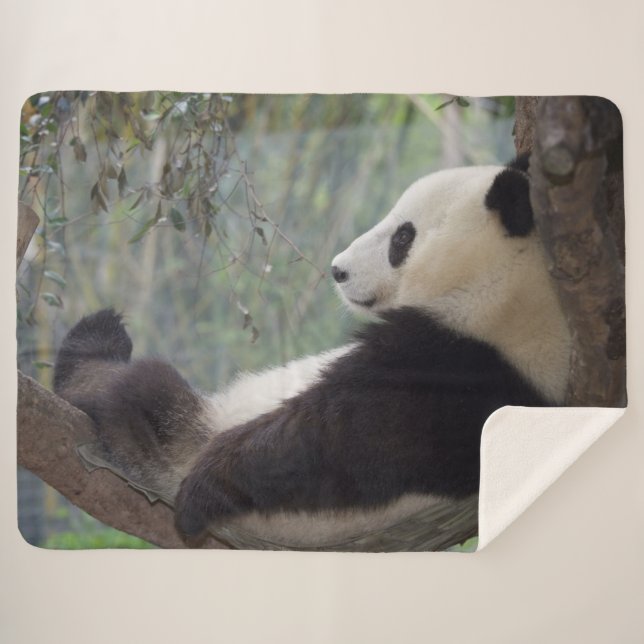 COUVERTURE SHERPA PANDA SNOOZE (Devant (Horizontal))