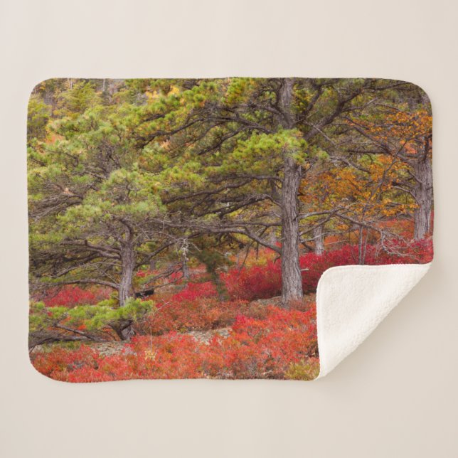 Couverture Sherpa Parc national de l'Acadie, Maine (Devant (Horizontal))