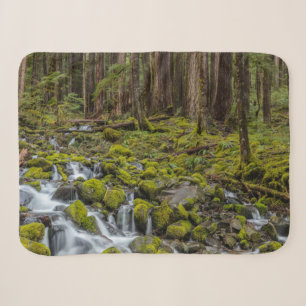 Couverture Sherpa Parc national olympique, État de Washington