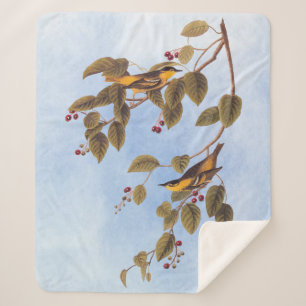 Couverture Sherpa Paruline carbonée Audubon Oiseau