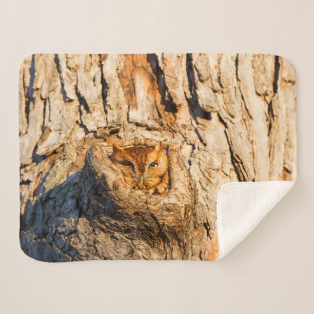 Couverture Sherpa Petit-duc de l'Est (Devant (Horizontal))