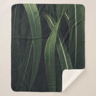 COUVERTURE SHERPA PLANTE VERT