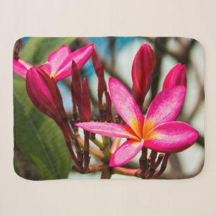 Couverture Sherpa Plumeria arrière - plan de fleurs exotiques
