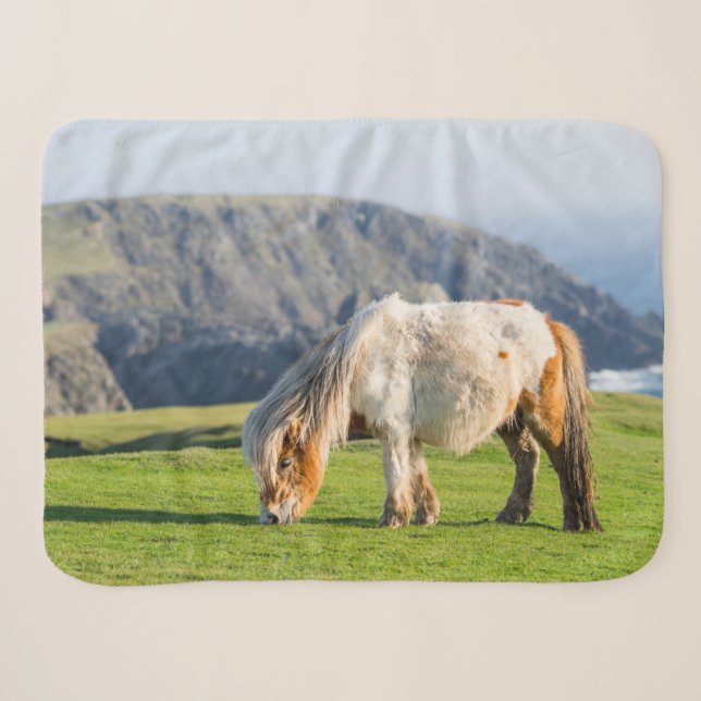 Couverture Sherpa Poney Shetland sur le pâturage près de hautes fala (Devant (Horizontal))