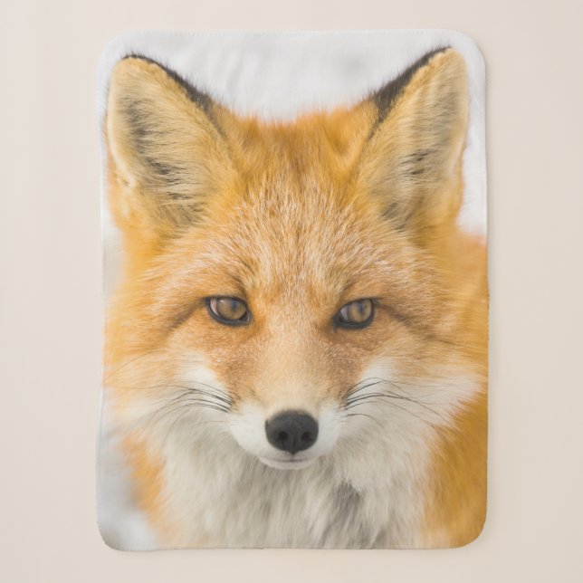 Couverture Sherpa Portrait de renard roux (Devant)