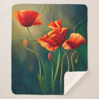 Couverture Sherpa Sherpacouverture