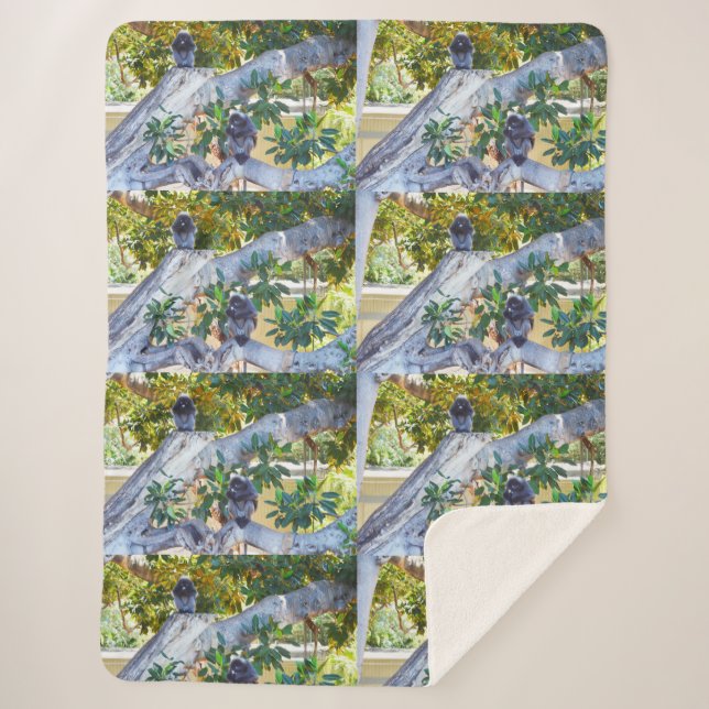 Couverture Sherpa Singes De Langur Noir Manger, Grande Blanche Sherp (Devant)