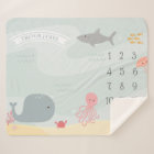 Sous la pierre de taille des amis de la mer