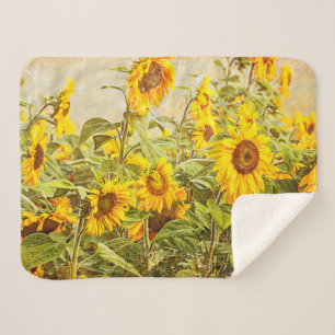 Couverture Sherpa Sunflower Field Vintage Green Yellow Country Art