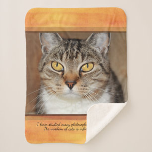 Couverture Sherpa Tabby gris