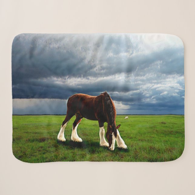 Couverture Sherpa Tempête de Clydesdale (Devant (Horizontal))
