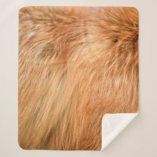 Couverture Sherpa Texture de fourrure de renard rouge