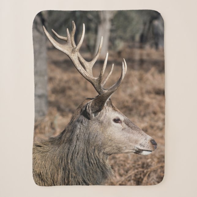 Couverture Sherpa The King's Deer of Richmond Park, Londres, Royaume (Devant)