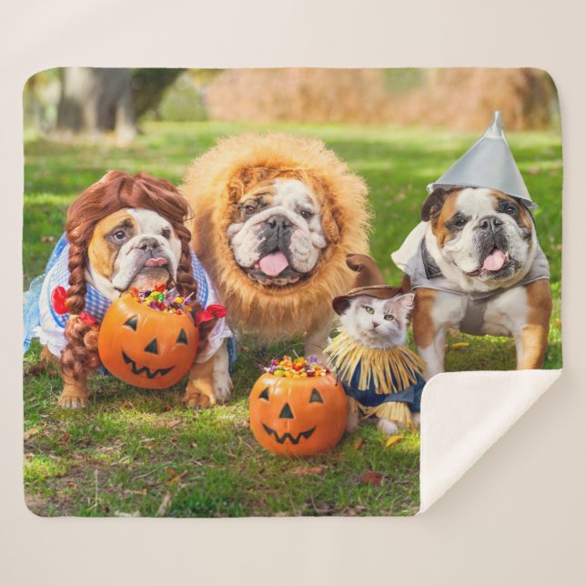 Couverture Sherpa Three Bulldogs in Costumes (Devant (Horizontal))