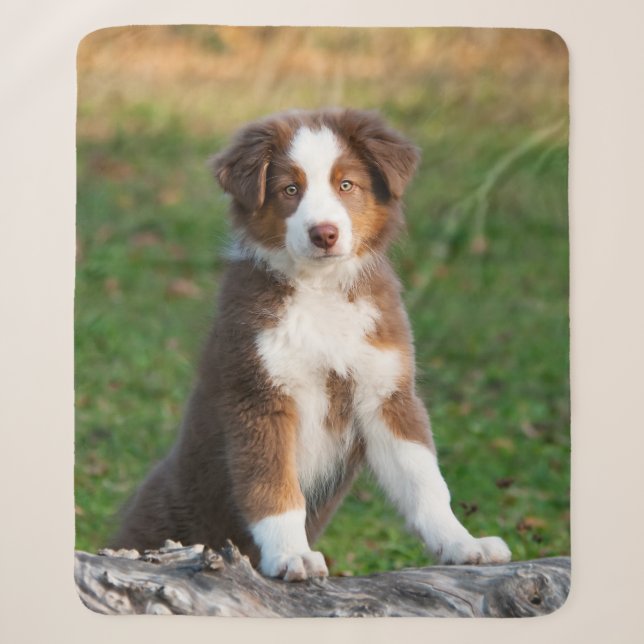 Couverture Sherpa Tri photo australienne rouge mignonne de chiot de (Devant)