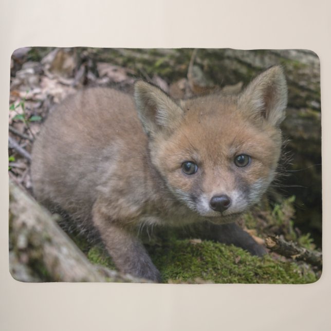 COUVERTURE SHERPA TROUSSE FOX (Devant (Horizontal))