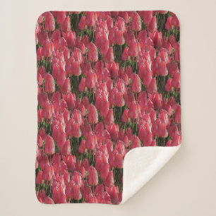 Couverture Sherpa Tulipes roses florales