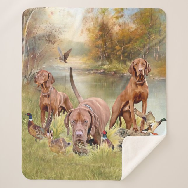 Couverture Sherpa Un aristocrate polyvalent dans la Vizsla hongroise (Devant)