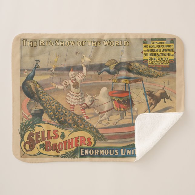 Couverture Sherpa Un Zébu Et Un Peacock Avec Un Entraîneur De Clown (Devant (Horizontal))