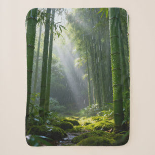 Couverture Sherpa Une mélodie rafraîchissante 002
