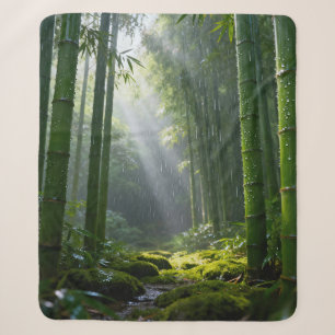 Couverture Sherpa Une mélodie rafraîchissante 002