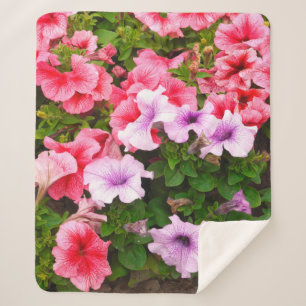 Couverture Sherpa Une photo nature est une belle fleur de pétunia. P