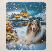 Vacances avec Collie