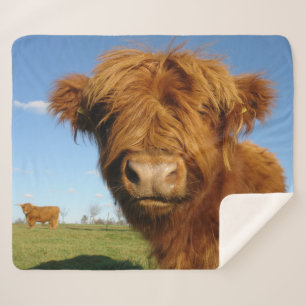 Couverture Sherpa Vache écossaise à boulettes - Ciel bleu