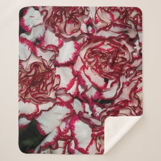 Couverture Sherpa Vieux rose, rose, Arrière - plan et texture avec L