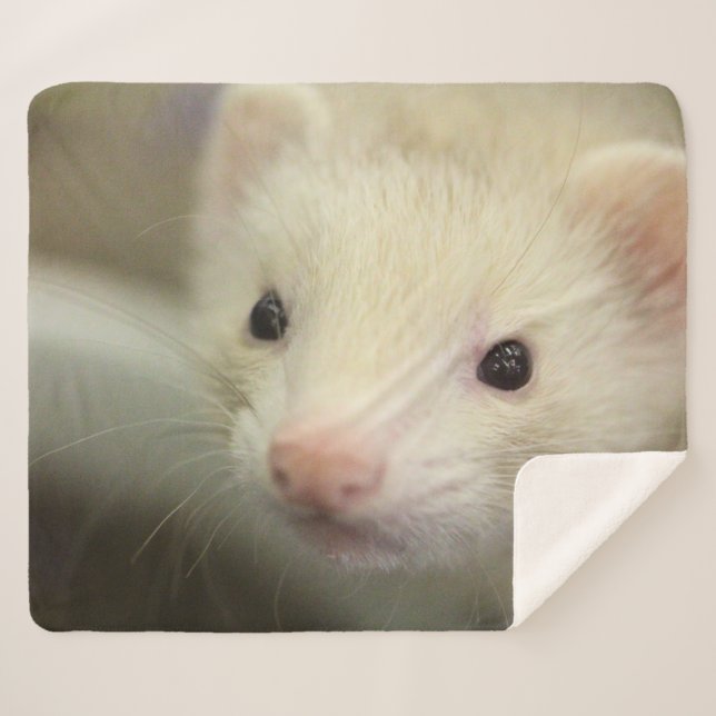 Couverture Sherpa Visage de furet (Devant (Horizontal))