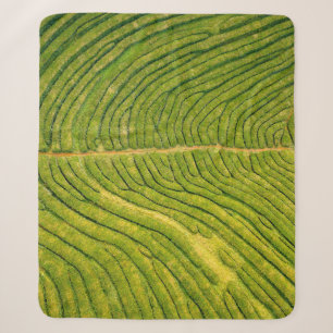 Couverture Sherpa Vue aérienne du champ vert ouvert