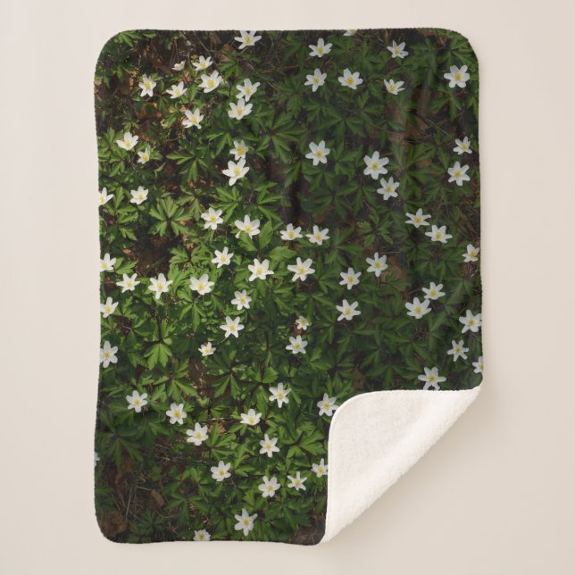 Couverture Sherpa White spring flowers in woodland (Devant)