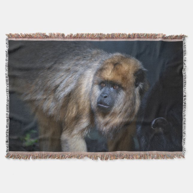 Couverture Singe hurleur (Devant)