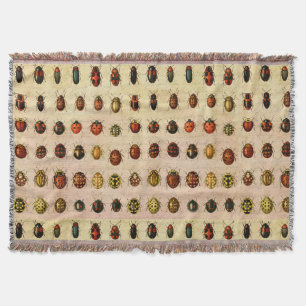 Couverture Spécimen de coccinelle vintage Motif Insecte antiq