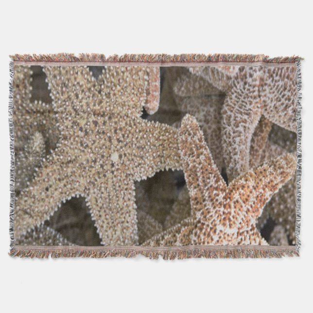 Couverture Starfish partout (Devant)