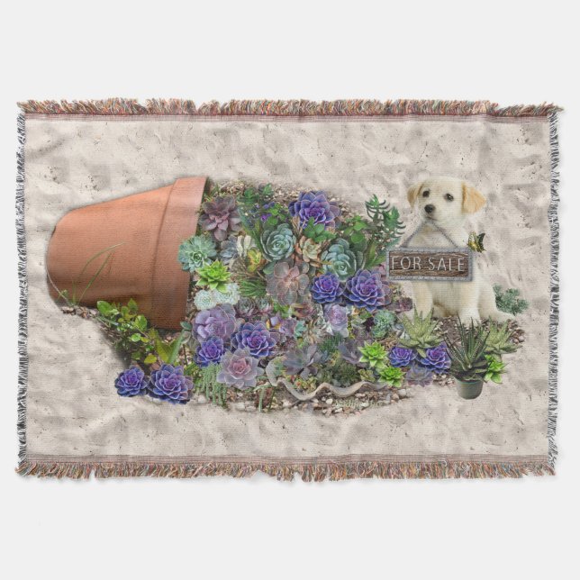 Couverture Succulents à vendre (Devant)