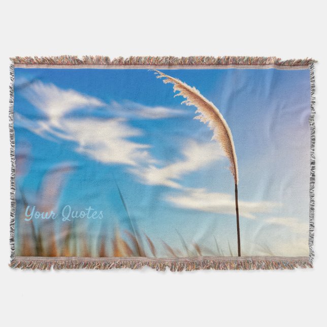 Couverture Sunlit Pampas Grass Against Deep Blue Sky (Devant)