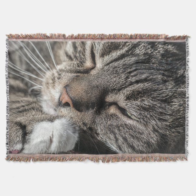 Couverture Tabby (Devant)
