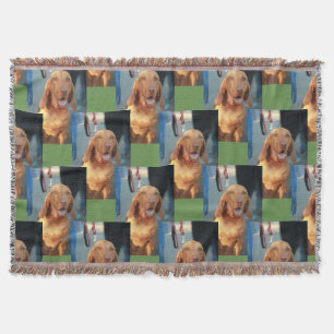 Couverture tan vizsla hound