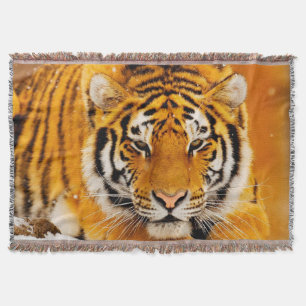 Couverture Tigre sibérien