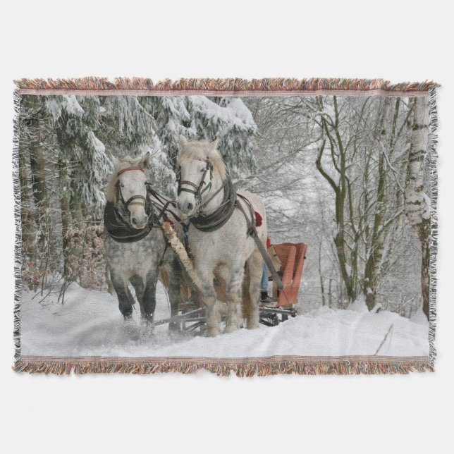 Couverture traîneau+ride, neige, forêt, cheval, hiver, blanc, (Devant)