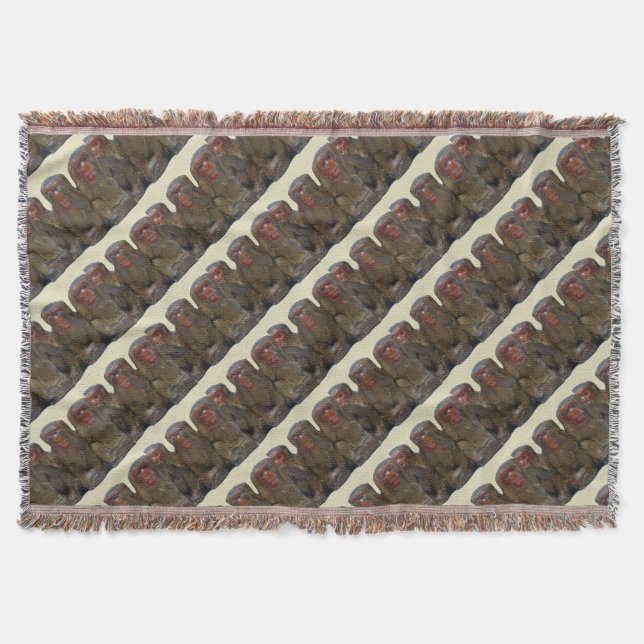 Couverture Trois singes sages (Devant)