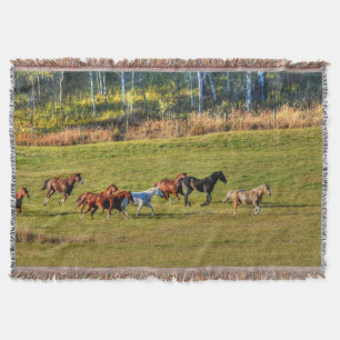 Couverture Un troupeau de chevaux sur un ranch BC Photo 4