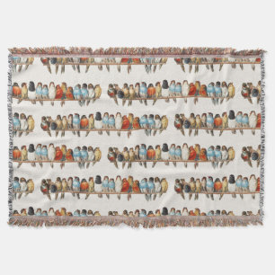 Couverture Une perche d'oiseaux Illustration de la perche Vin
