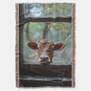 Couverture Une vache curieuse qui regarde à travers une fenêt
