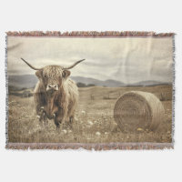 Vache de Highland dans un champ de foin Vintage