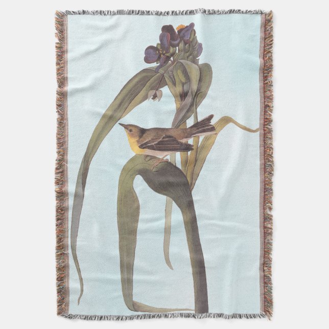 Couverture Vireo Songbird d'Audubon (devant Vertical)
