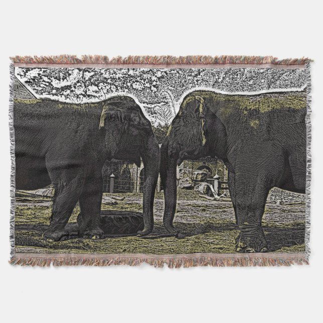 Couverture Yeux éléphants (Devant)