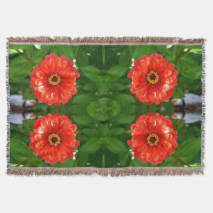 Couverture Zinnia orange